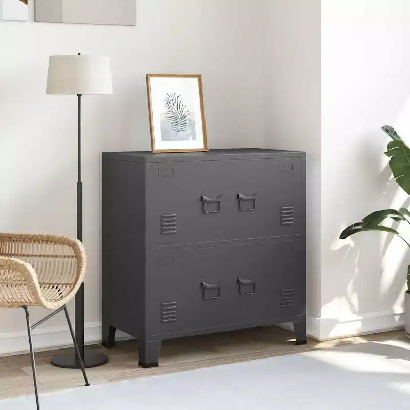Coffre de rangement Acier anthracite, plastique Rangement moyen - Anthracite 31.5